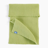 Freddie Merino Cashmere Dickey Scarf in Lime
