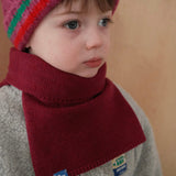 Stan Merino Cashmere Neck Warmer in Berry